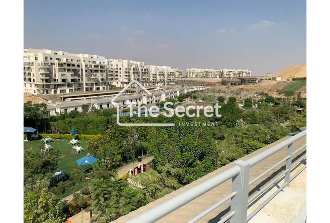 7985024 - Property Image 3