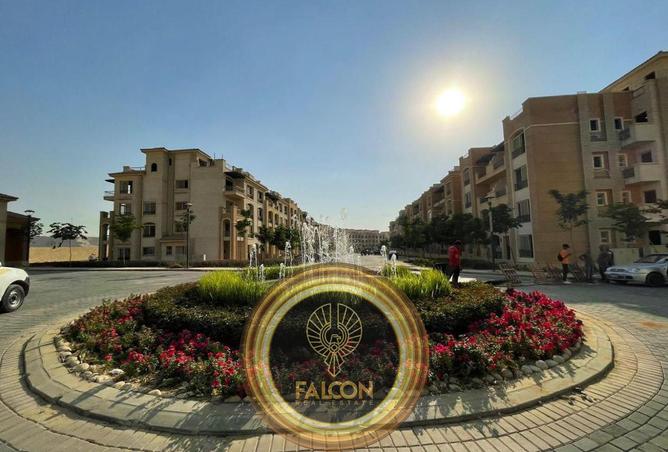 8449694 - Property Image 3