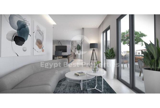 8019381 - Property Image 3