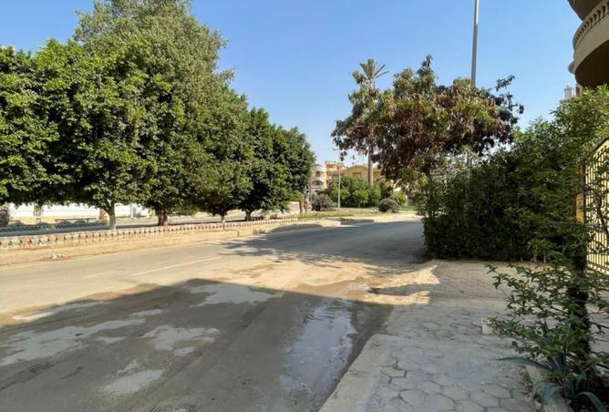 8134569 - Property Image 2
