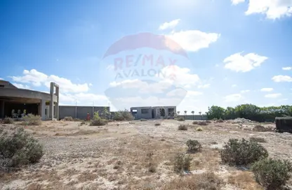 قطعة أرض - استوديو للبيع في كينج مريوط - حي العامرية - الاسكندرية
