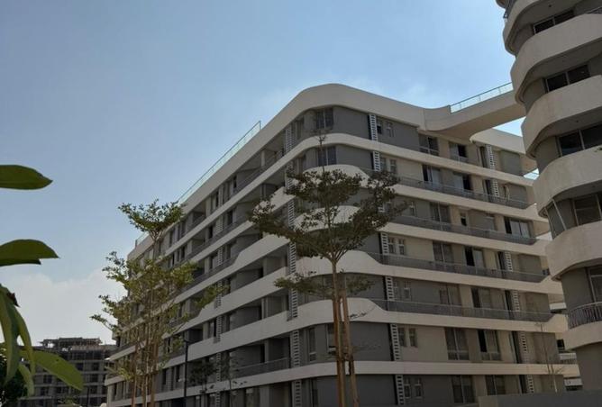 8281305 - الصورة الرئيسية للعقار