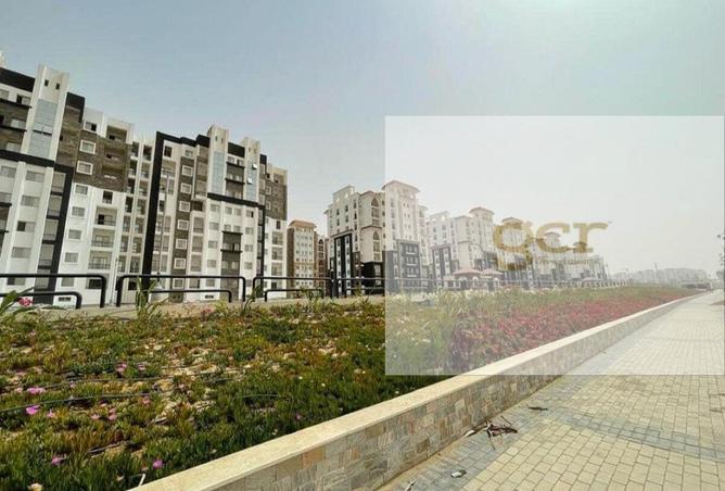 8184773 - Property Image 2