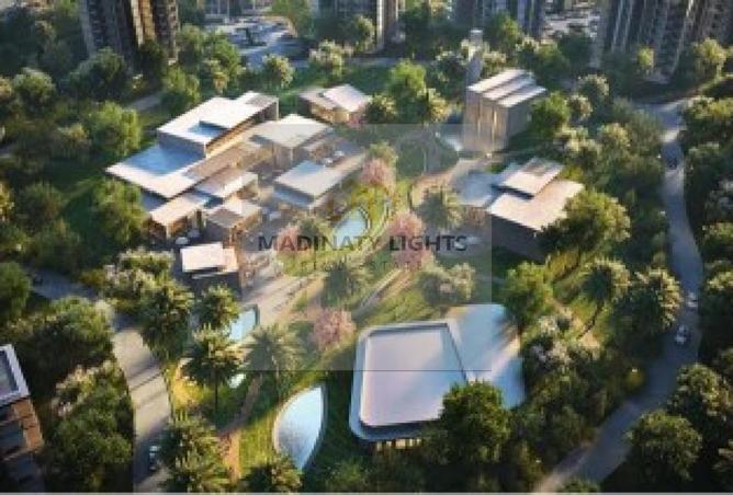 8084375 - Property Image 3