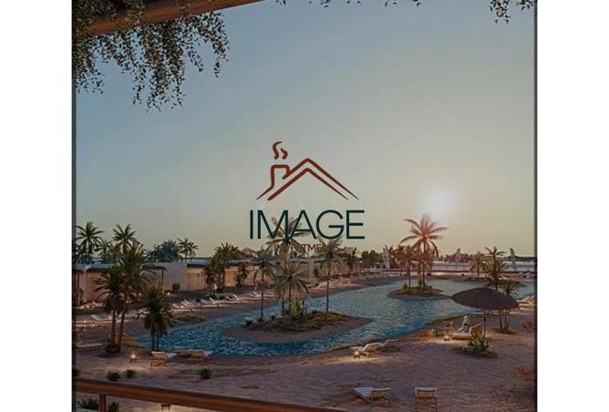 8252458 - Property Image 2