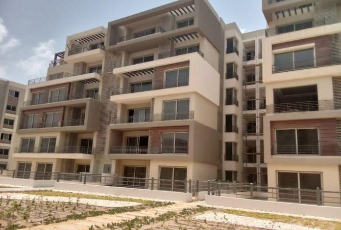 8215094 - Property Image 3