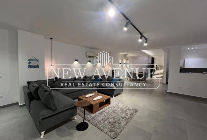 7914918 - Property Image 3