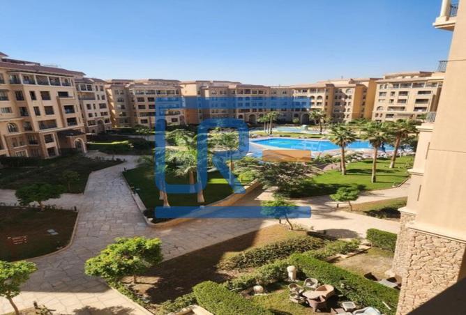 8184504 - Property Image 2