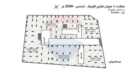 محل تجاري - استوديو للايجار في شدس - حي شرق - الاسكندرية