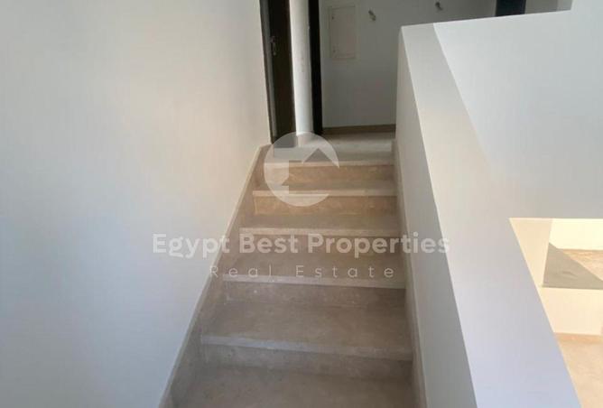 8295441 - صورة العقار 3