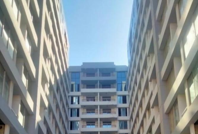 8167026 - صورة العقار 2