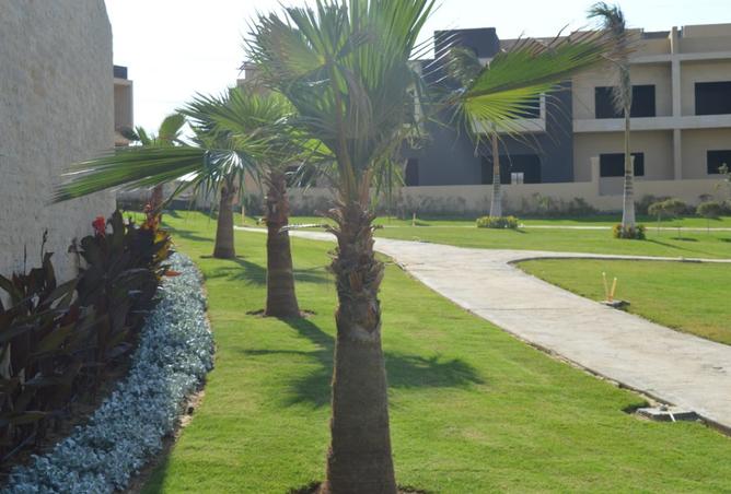 7952620 - الصورة الرئيسية للعقار