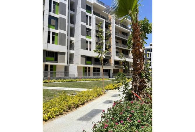 8134240 - Property Image 3