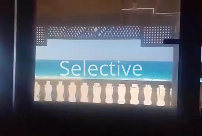 8208591 - Property Image 3