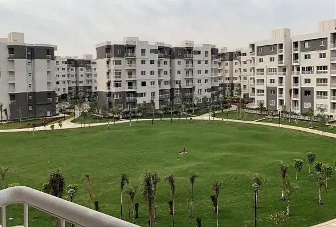 8047203 - الصورة الرئيسية للعقار