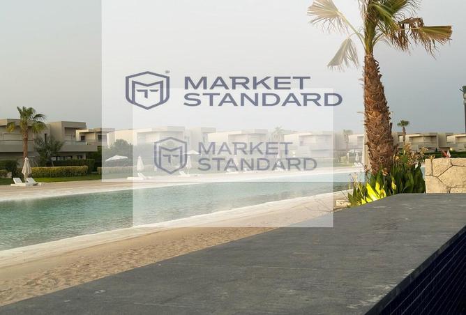 8246384 - Property Image 3