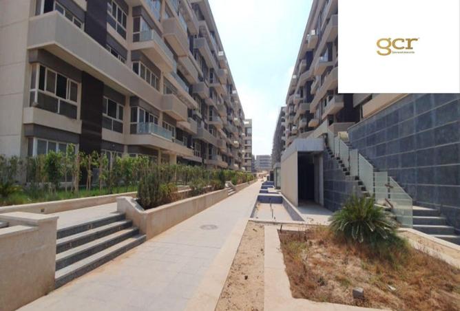 8412879 - Property Image 2