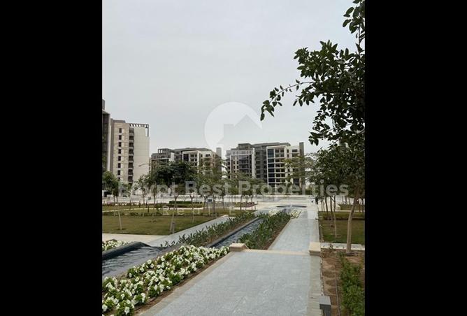 7883678 - الصورة الرئيسية للعقار