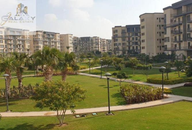 8020774 - Property Image 3