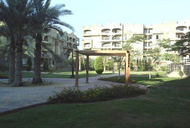 7931446 - صورة العقار 2