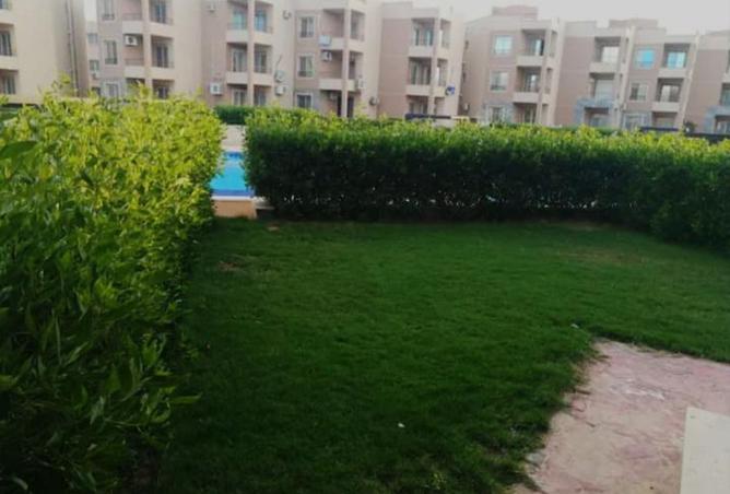 8166628 - Property Image 2