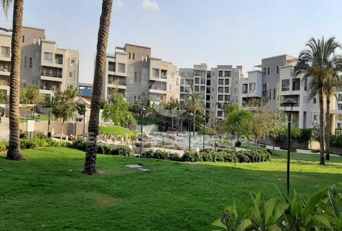 8203228 - صورة العقار 2