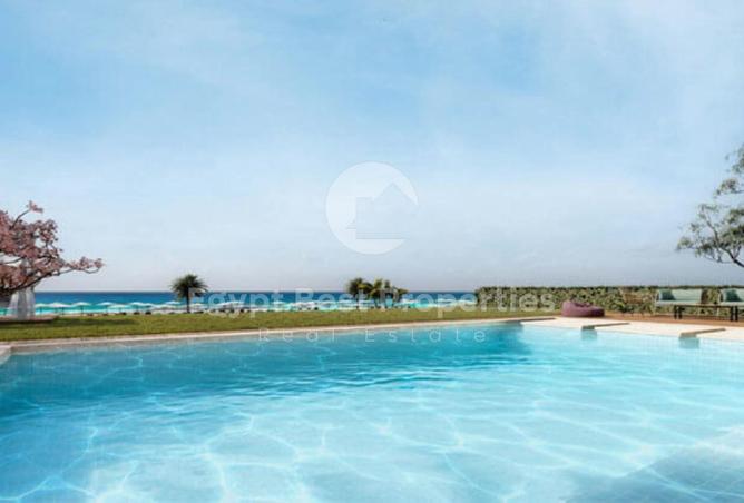 7923536 - Property Image 3