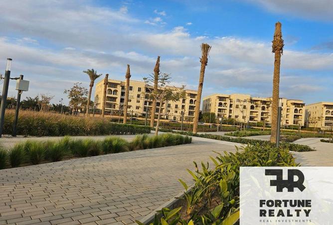 8490095 - Property Image 3