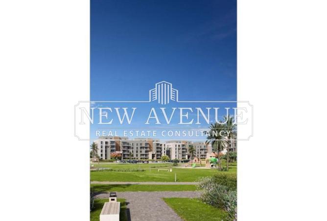 7916439 - Property Image 3