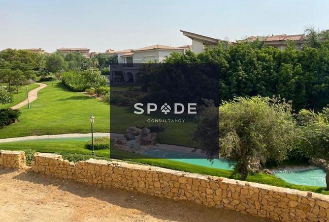 8195003 - Property Image 3