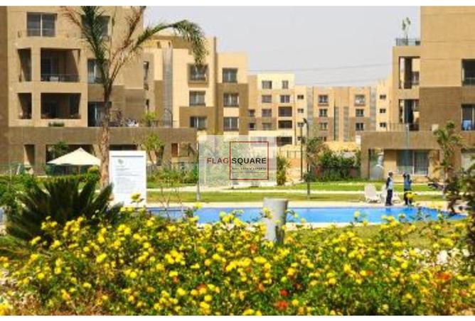 7996675 - صورة العقار 3