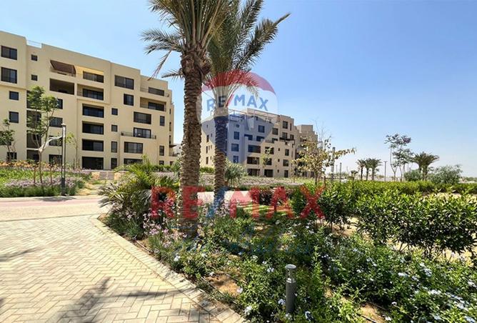 8294520 - صورة العقار 3