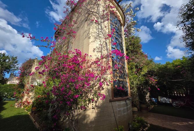 8418116 - صورة العقار 2