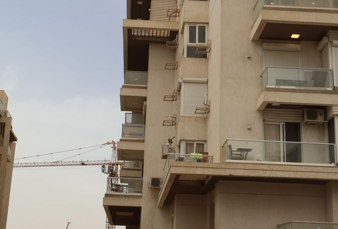 7960006 - صورة العقار 3