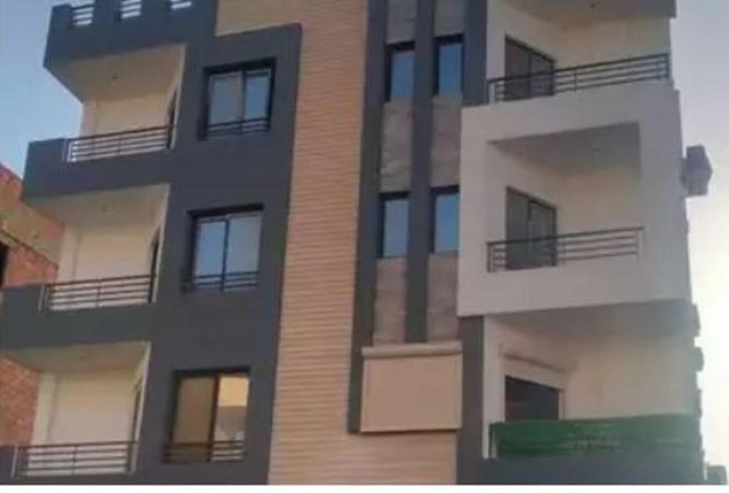 8232544 - صورة العقار 3