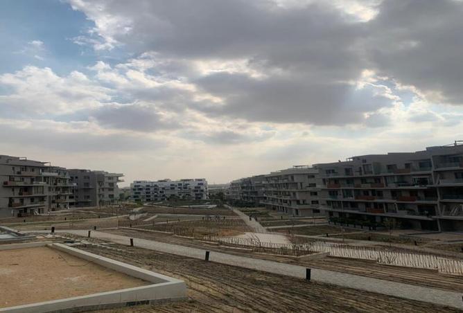 7998633 - صورة العقار 2