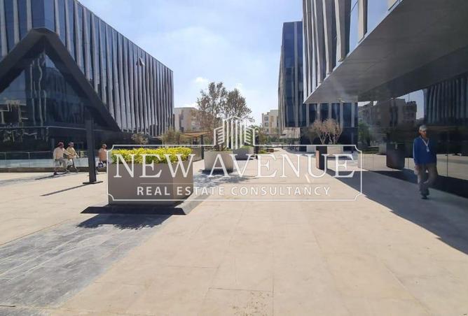 8394661 - Property Image 3