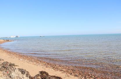 Apartment - 1 Bedroom - 1 Bathroom for sale in Al Ahyaa District - Hurghada - Red Sea