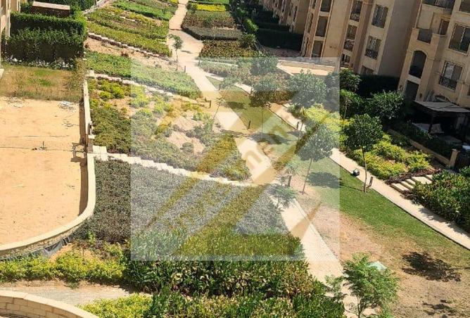 8554237 - صورة العقار 3