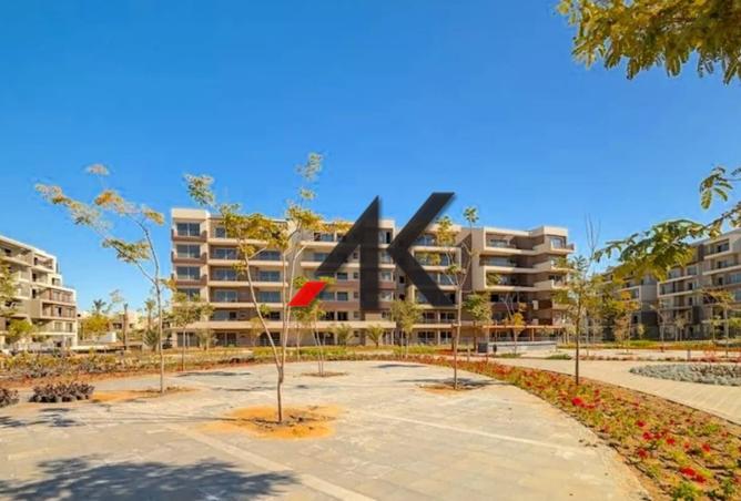 8155736 - Property Image 2