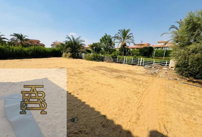 8404714 - Property Image 3