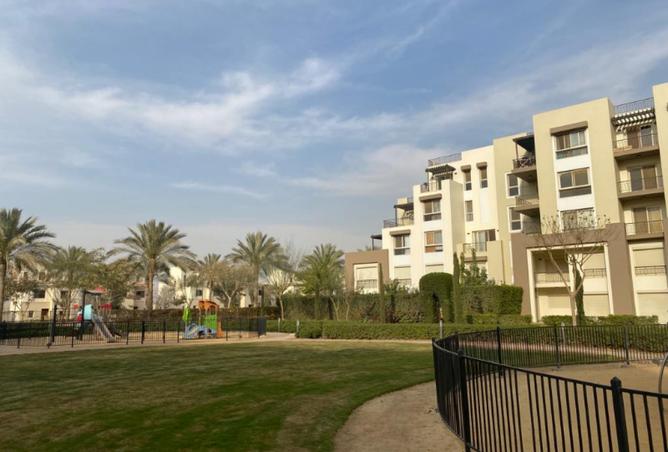 7913764 - صورة العقار 3