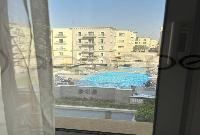 8206025 - Property Image 3