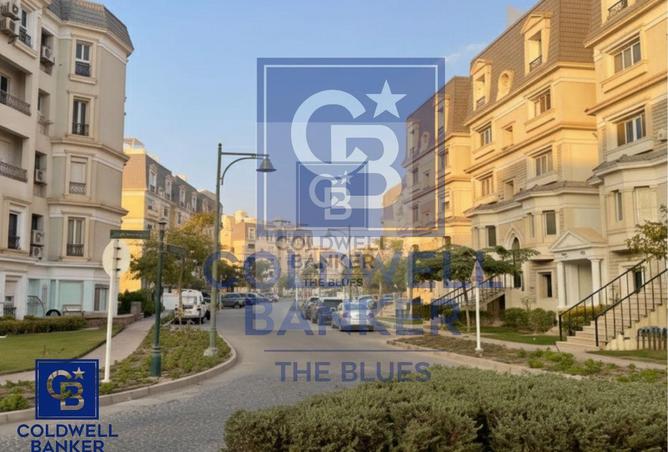 8427937 - Property Image 2