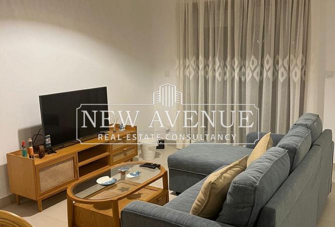 7935916 - Property Image 3