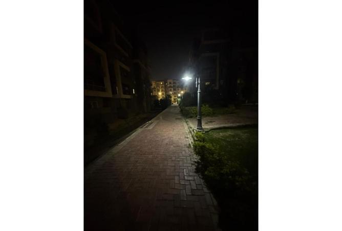 8002595 - صورة العقار 3