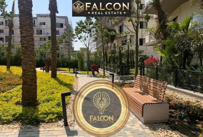 8259288 - صورة العقار 2