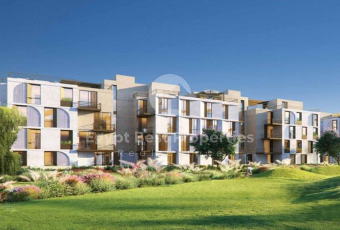 8384323 - Property Image 3