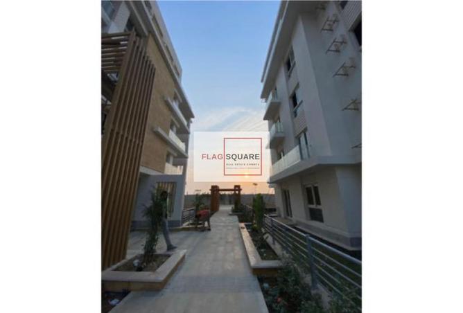 8213381 - Property Image 3