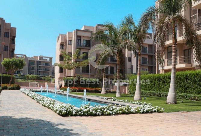 8272365 - صورة العقار 3